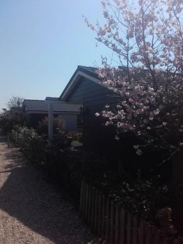 Cosy Petten, Family Only