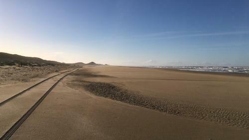 Boshuisje Petten Aan Zee