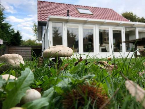 Lovely Beachhouse In Ouddorp
