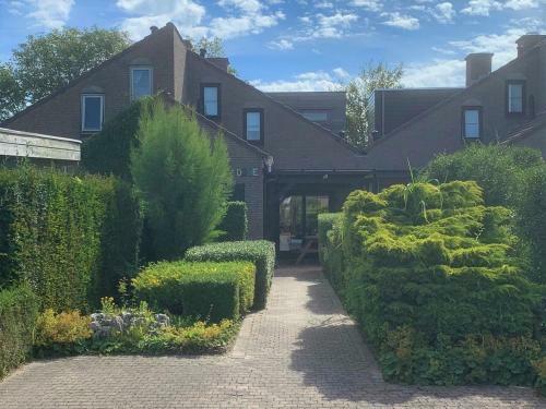 Dune, Spaanse Galeienstraat 17