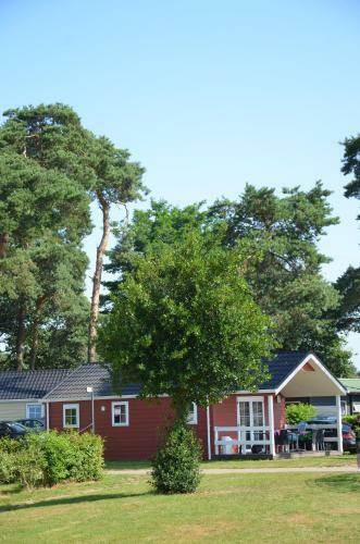 Lodge 6 Personen Camping de Molenhof