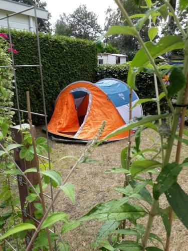 Stacaravan Met Wifi En Zwembad