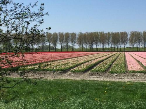 Rekerlanden 283