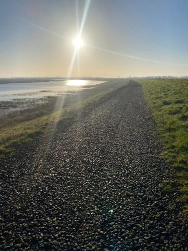 Apartamento Tiny House Thuus