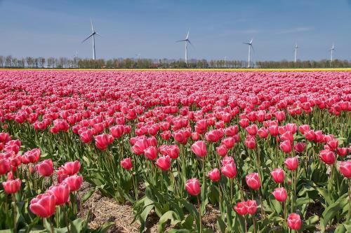 Het Dobbertje, Park Eb & Vloed Nummer 40