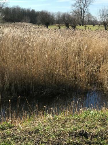 Familieverblijf De Groene Specht
