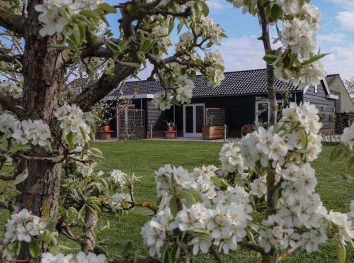 B&B Buutegeweun