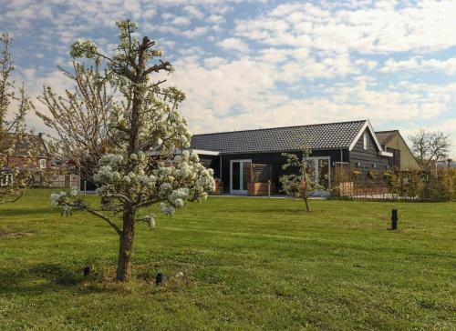 B&B Buutegeweun