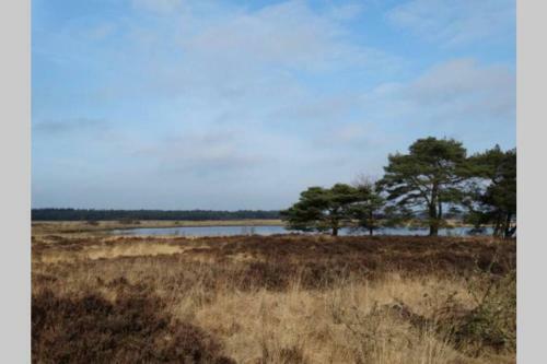 Drentse Bungalow In Natuur En Rust