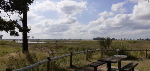 Drentse Bungalow In Natuur En Rust
