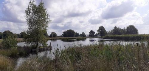 Drentse Bungalow In Natuur En Rust