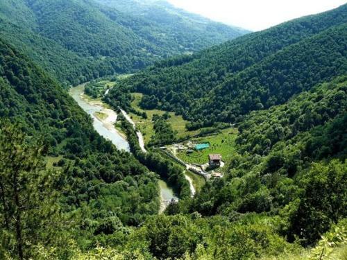 Agroturismo Casa Cu Flori