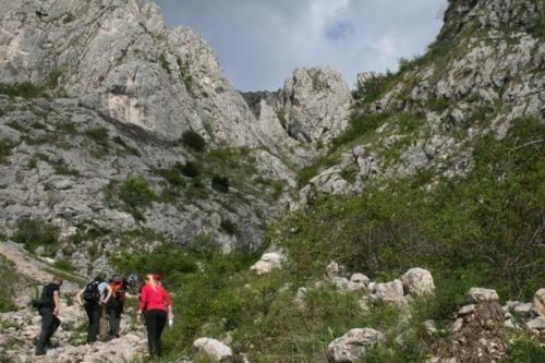 Agroturismo Casa Cu Flori