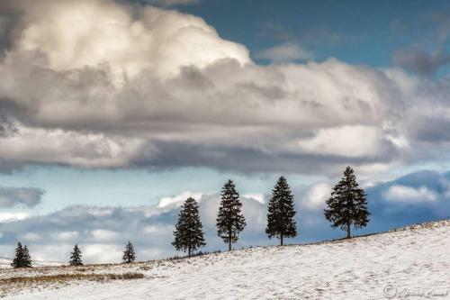 Hostal Pensiunea Catalina