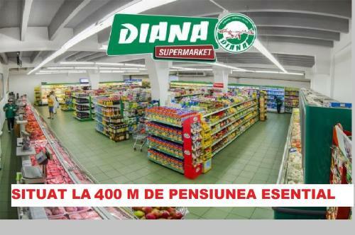 Hostal Pensiunea Esential