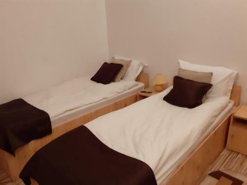 Hostal Pensiunea Casa Brancusi