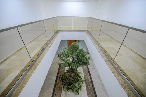 Apartament Le Bonheur