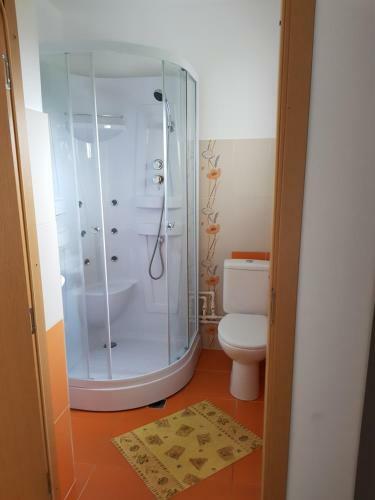 Hostal Casa De Vacanta Macovei0744