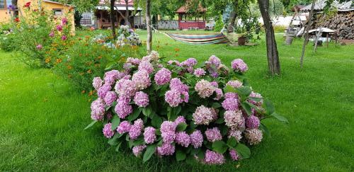Agroturismo Pensiunea Miraj