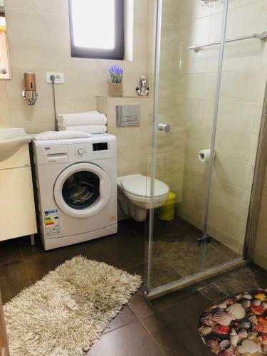 Apartament Manu