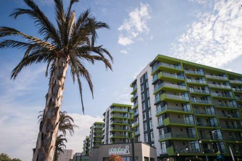 Apartament Mamaia Alezzi