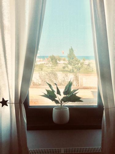 Apartamento Sega Residence Alessia 22