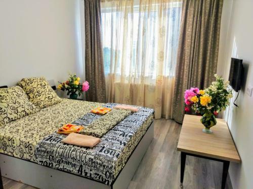 Apartament Hanul Piratilor