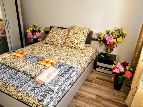Apartament Hanul Piratilor