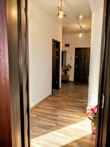 Apartament Hanul Piratilor