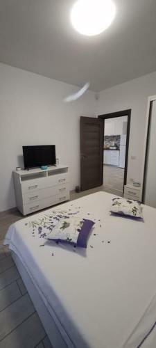 Holidayy Apartments-mamaia Nord