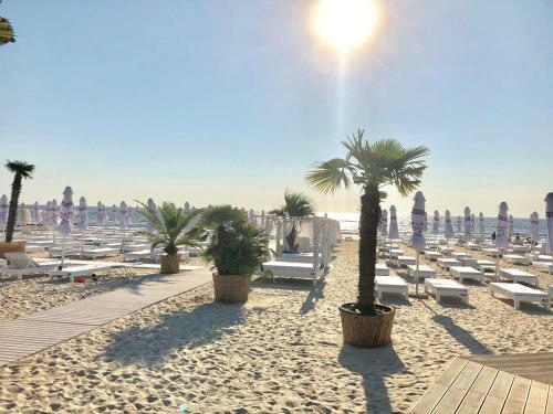 Apartament Mamaia Nord