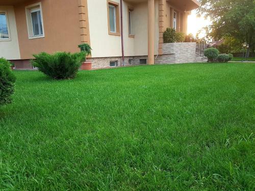 Casuta Cu Tei-lime House