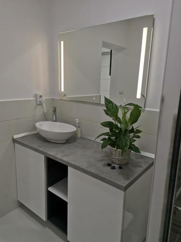 Casuta Cu Tei-lime House