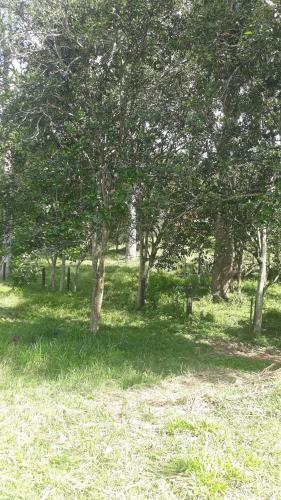 Villa Finca La Laguna