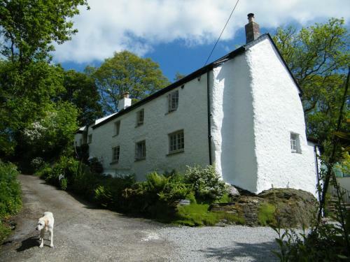 Spring Cottage B&B