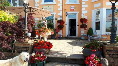 Bed & Breakfast Min Y Don Guest House