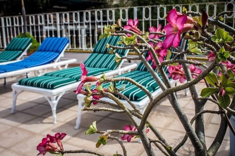 Hotel Paloma Del Mar