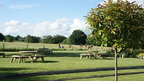 Posada The Bull At Great Totham Llp