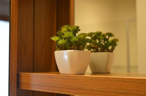 Rosa Apartamento Luxo Maria Ant�nia