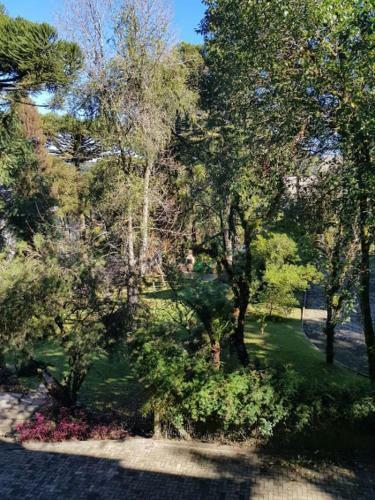 Apartamento Gramado