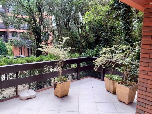 Apartamento Resort Com Natureza No Centro