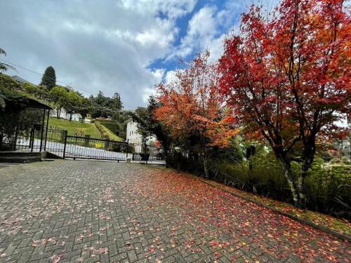 Bav�ria 205 - Apartamento Em Gramado - 5min Da Rua Coberta