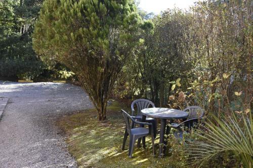 Apartamento Floresta Encantada, O Seu Sonho Em Gramado!