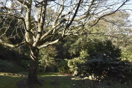 Apartamento Floresta Encantada, O Seu Sonho Em Gramado!