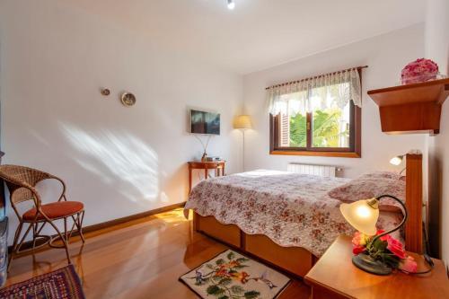 Rosa Apartamento Maximo Masotti 204