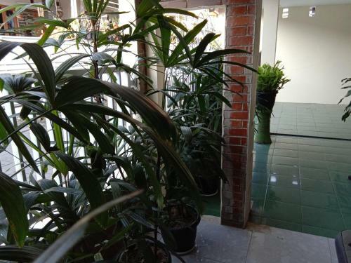 Hostal Saffa Guesthouse 27