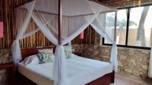 Bed & Breakfast Pi�a Coloradas Ecolodge