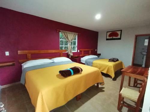 Hotel Posada Onix Xilitla