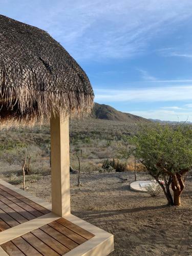 Hotel Caba�as 33 1/3 Room A