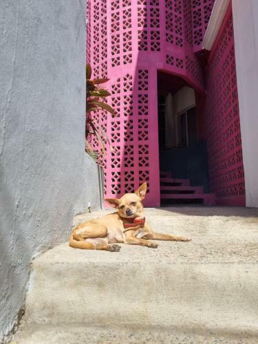 Apartamento Jungla Zipolite Departamento Fatima